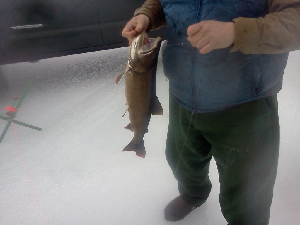 193537_147710238627123_100001644421983_300145_1695577_o Jack Traps